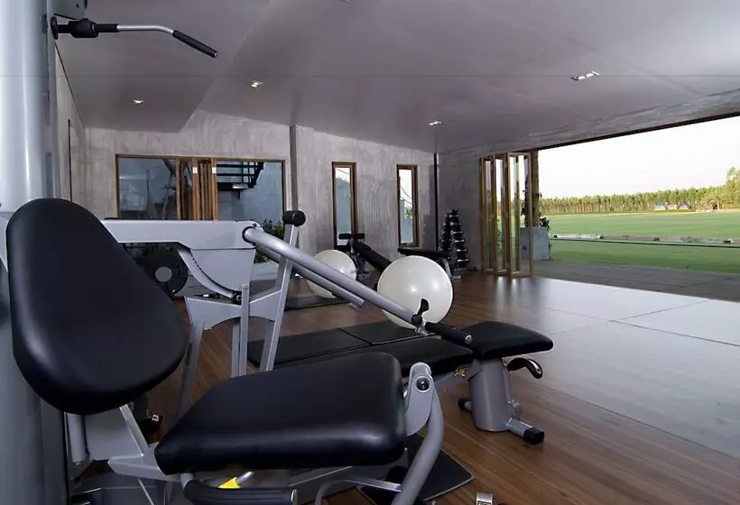 Fotos del hotel Polo Escape:  3