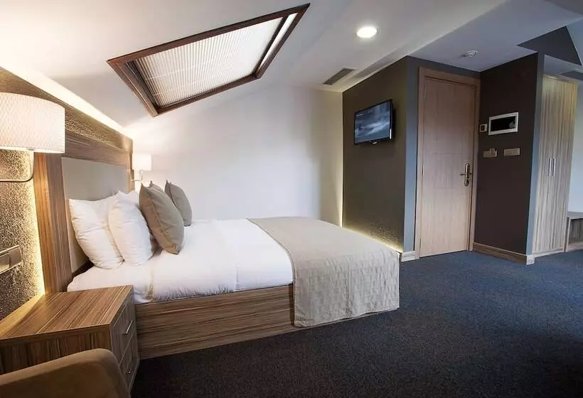 Fotos del hotel The Rise Aron Business  Merter:  22