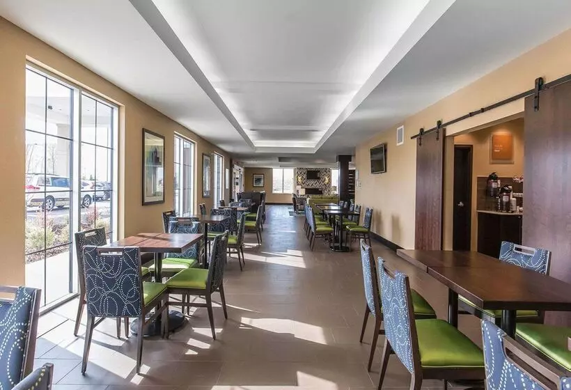 Fotos del hotel Comfort Inn & Suites Airport North:  3