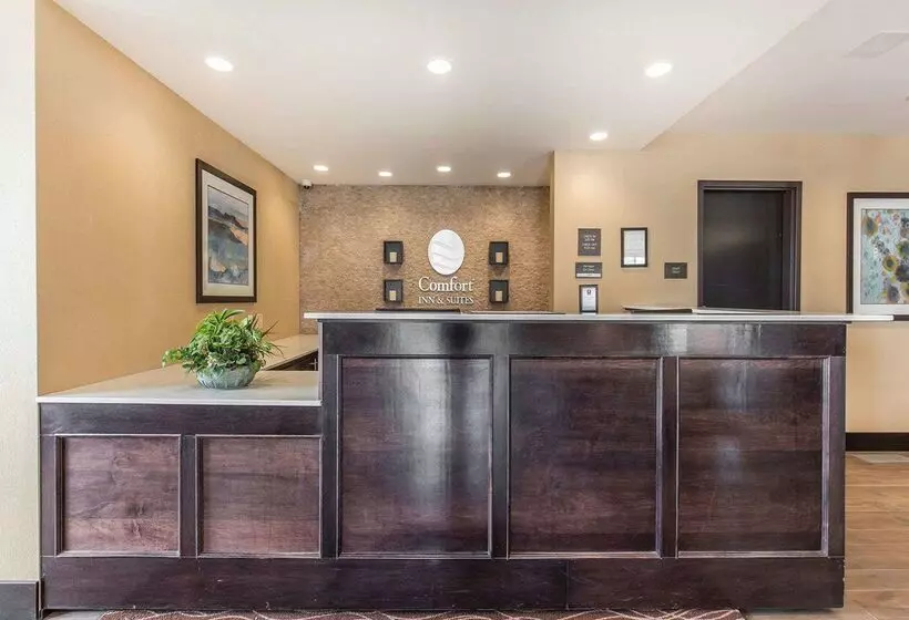 Fotos del hotel Comfort Inn & Suites Airport North:  15