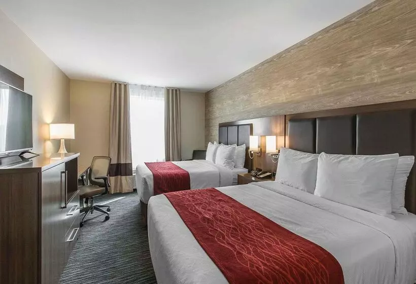 Fotos del hotel Comfort Inn & Suites Airport North:  13