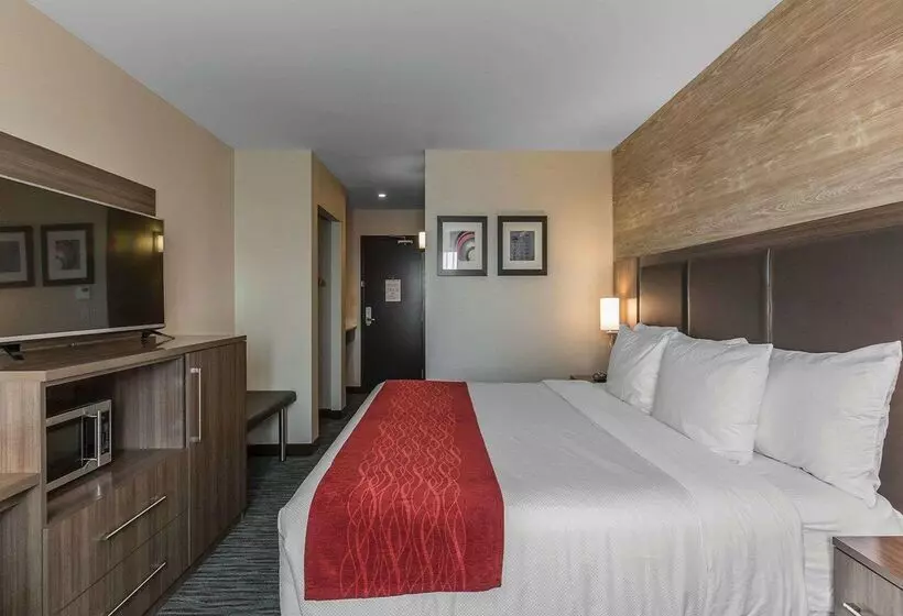 Fotos del hotel Comfort Inn & Suites Airport North:  16