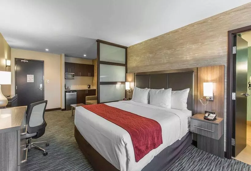 Fotos del hotel Comfort Inn & Suites Airport North:  21