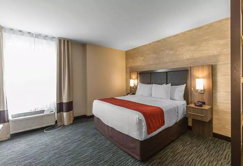 Fotos del hotel Comfort Inn & Suites Airport North:  18