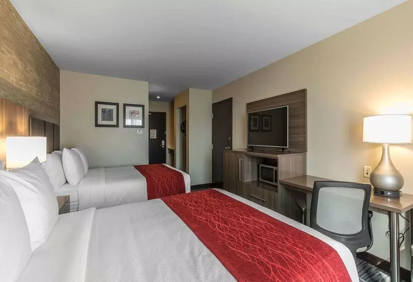 Fotos del hotel Comfort Inn & Suites Airport North:  22