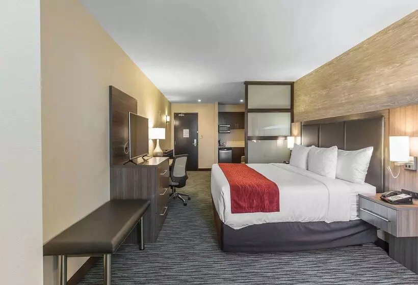 Fotos del hotel Comfort Inn & Suites Airport North:  20