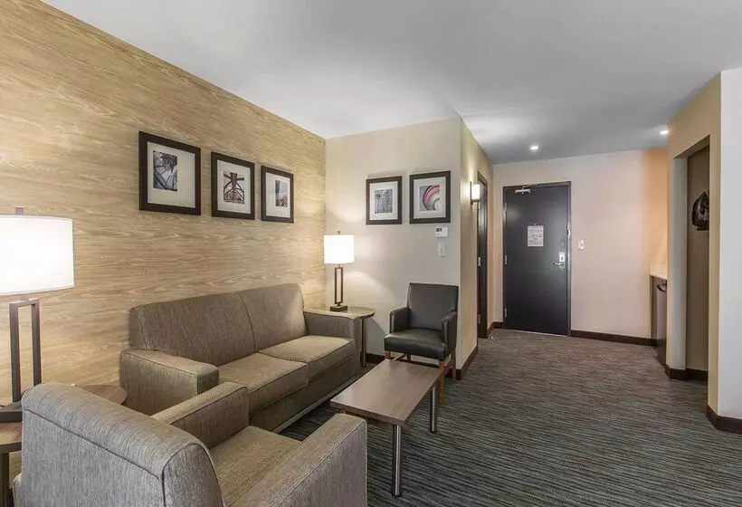 Fotos del hotel Comfort Inn & Suites Airport North:  17