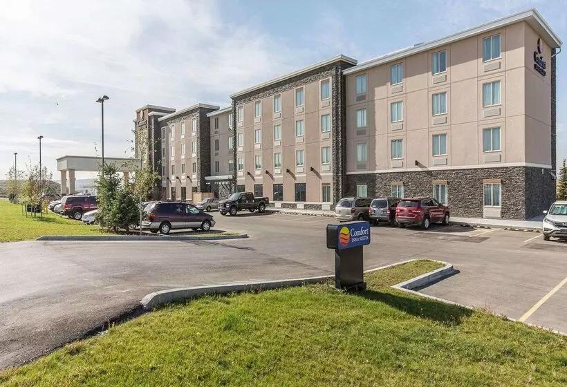 Fotos del hotel Comfort Inn & Suites Airport North:  7