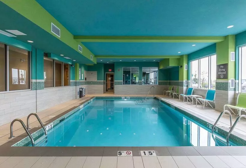 Fotos del hotel Comfort Inn & Suites Airport North:  2