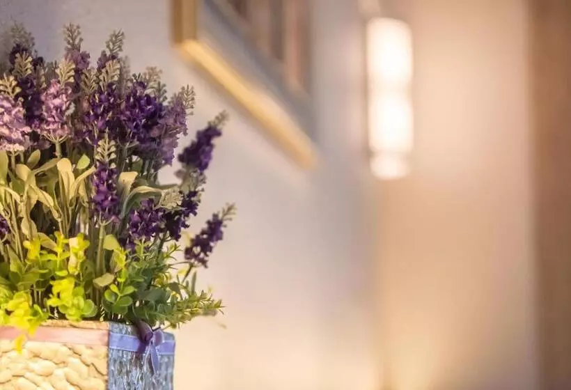 Fotos del hotel Zamburger Lavender Nusa:  17