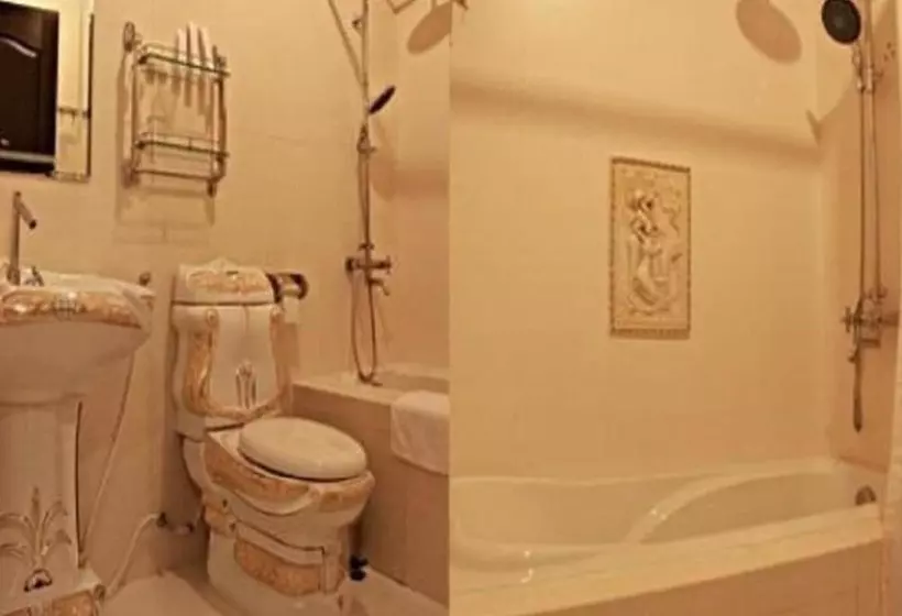 Fotos del hotel Hoang Le:  5