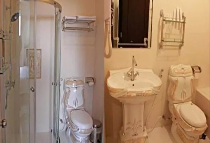 Fotos del hotel Hoang Le:  11