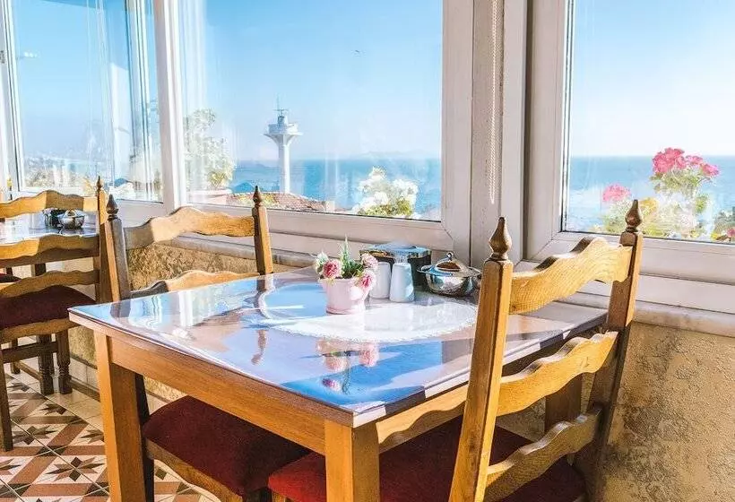 Fotos del hotel Sur Hotel Sultanahmet:  12