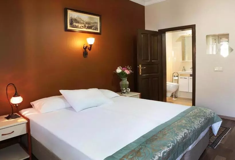 Fotos del hotel Sur Hotel Sultanahmet:  13