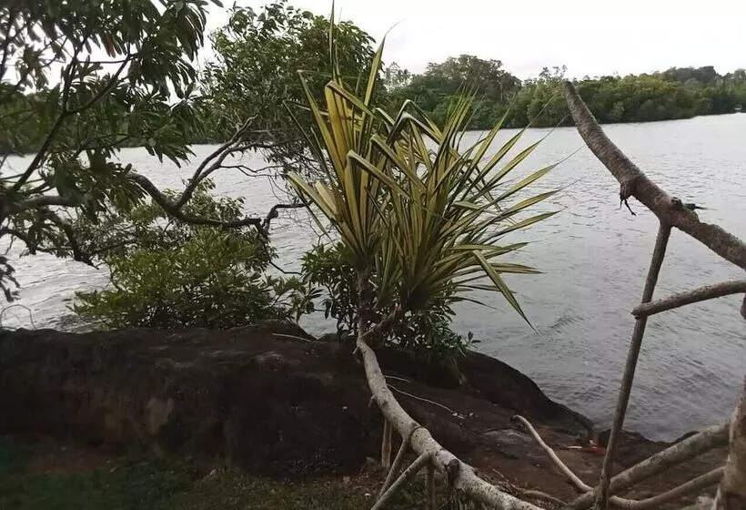 Fotos del hotel Bird Lake Resort:  6