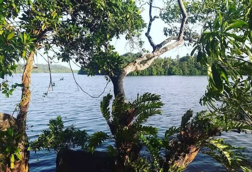 Fotos del hotel Bird Lake Resort:  7