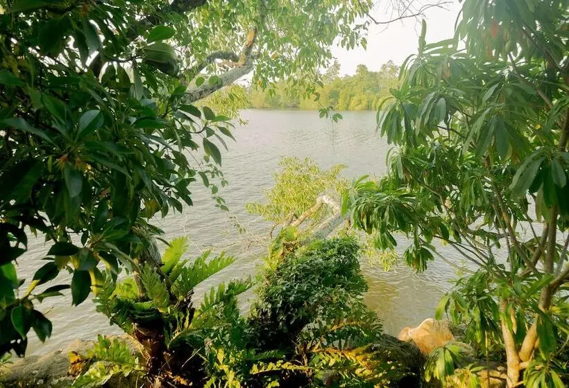 Fotos del hotel Bird Lake Resort:  8