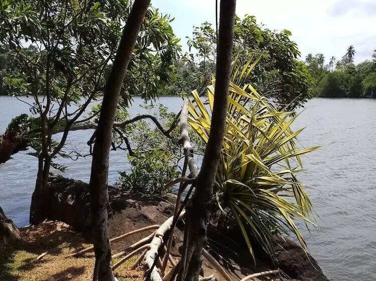 Fotos del hotel Bird Lake Resort:  10