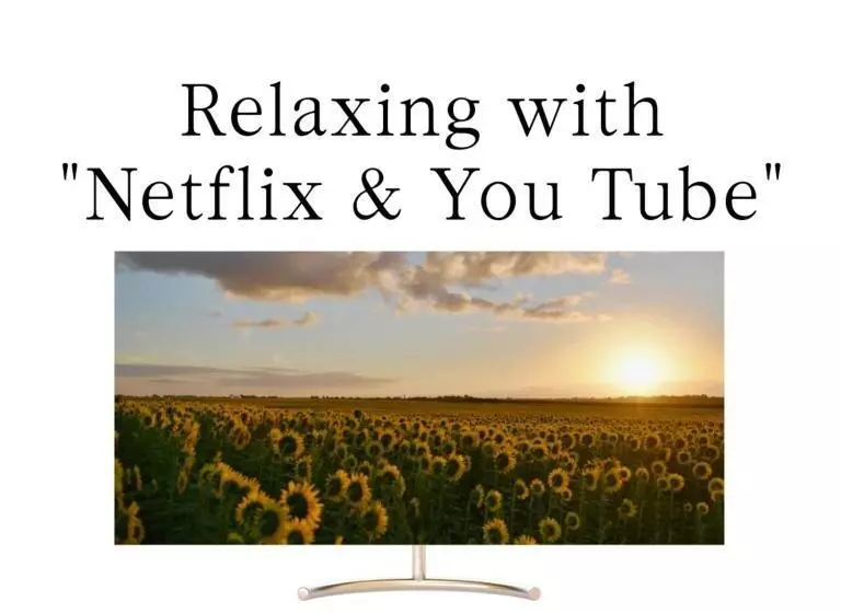 Fotos del hotel Leo:  7