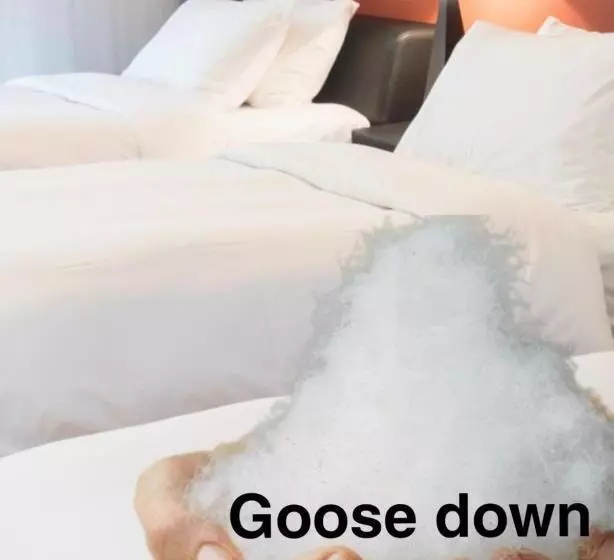 Fotos del hotel Leo:  9