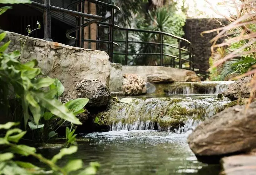 Fotos del hotel Prelude:  12