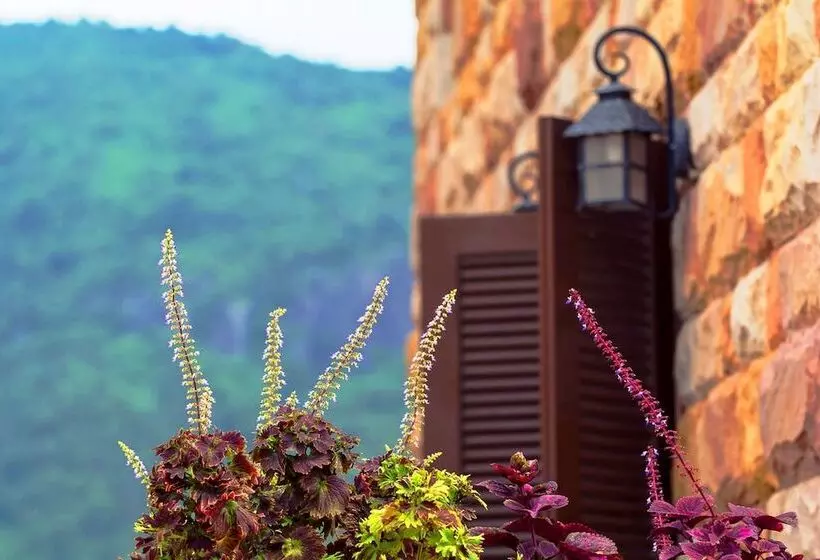 Fotos del hotel Town Square Suites By Toscana Valley:  22