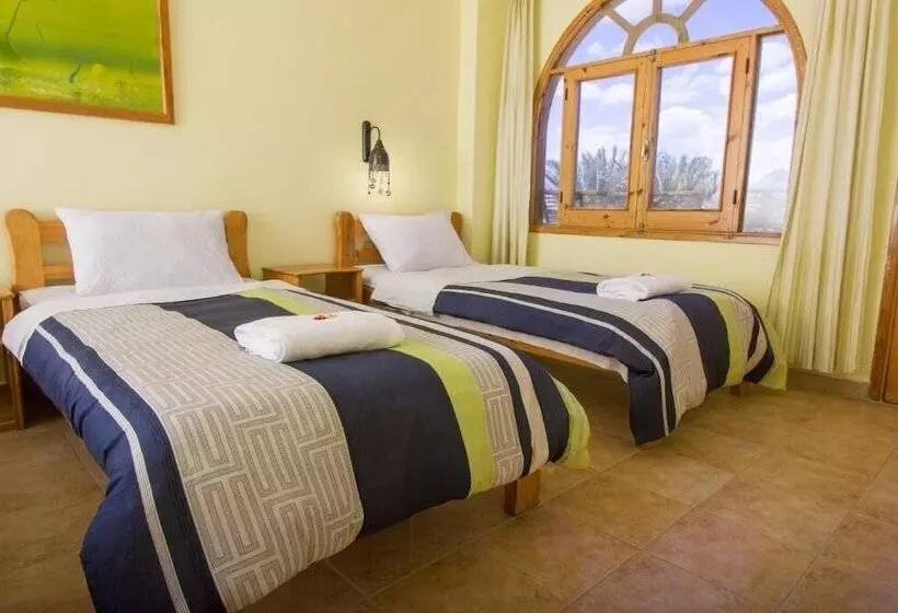 Fotos del hotel Shams Hotel & Dive Centre:  4