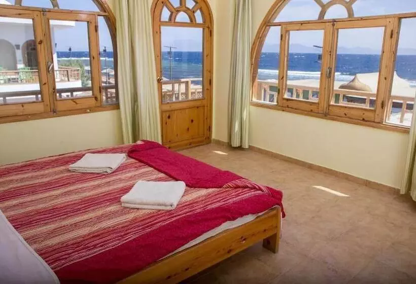 Fotos del hotel Shams Hotel & Dive Centre:  3