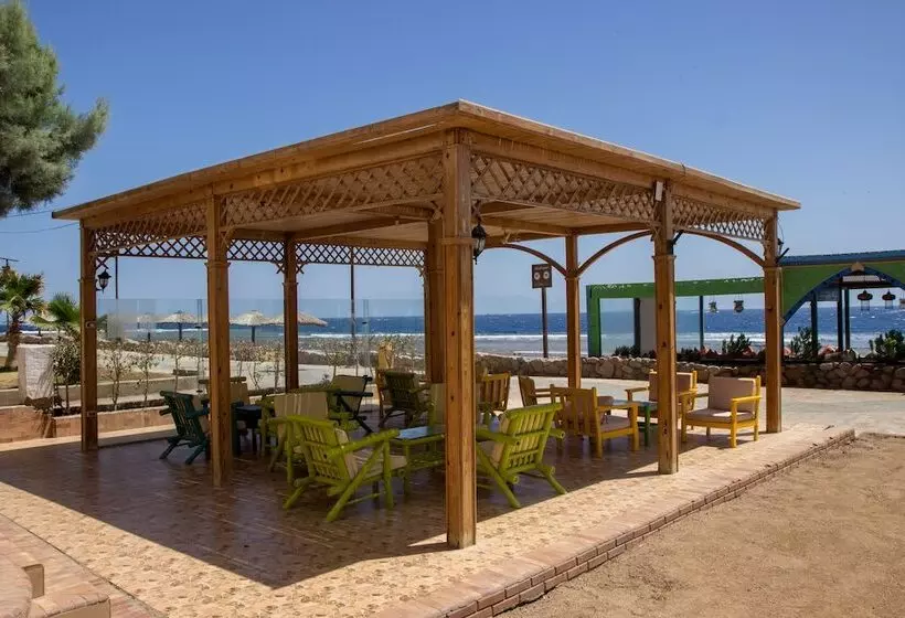 Fotos del hotel Shams Hotel & Dive Centre:  2