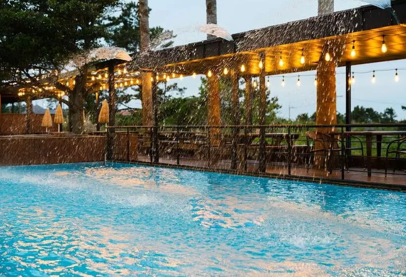 Fotos del hotel Sea Cliff  Jeju:  14