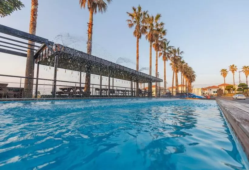 Fotos del hotel Sea Cliff  Jeju:  2