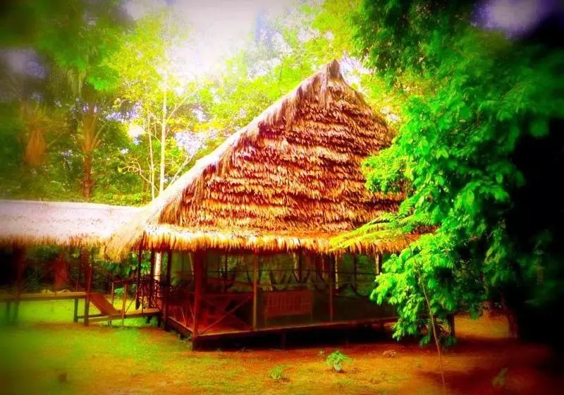 Amazon Eco Tours & Lodge