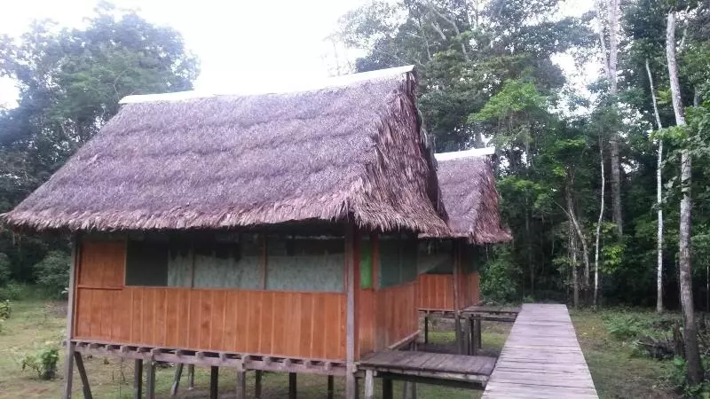 Fotos del hotel Amazon Eco Tours & Lodge:  7