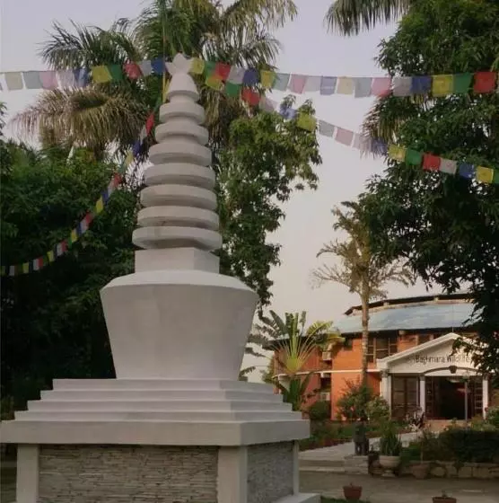 Fotos del hotel Baghmara Wildlife Resort:  22