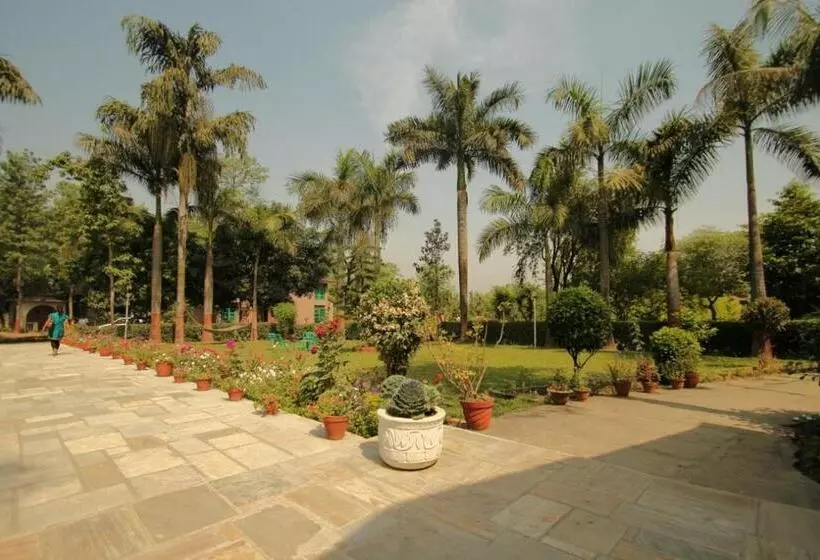 Fotos del hotel Baghmara Wildlife Resort:  6