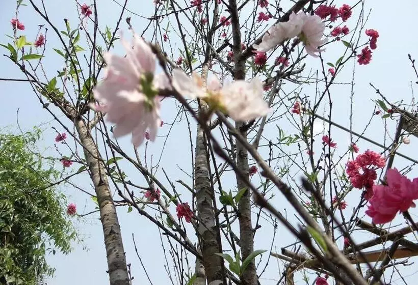 Fotos del hotel Baghmara Wildlife Resort:  14