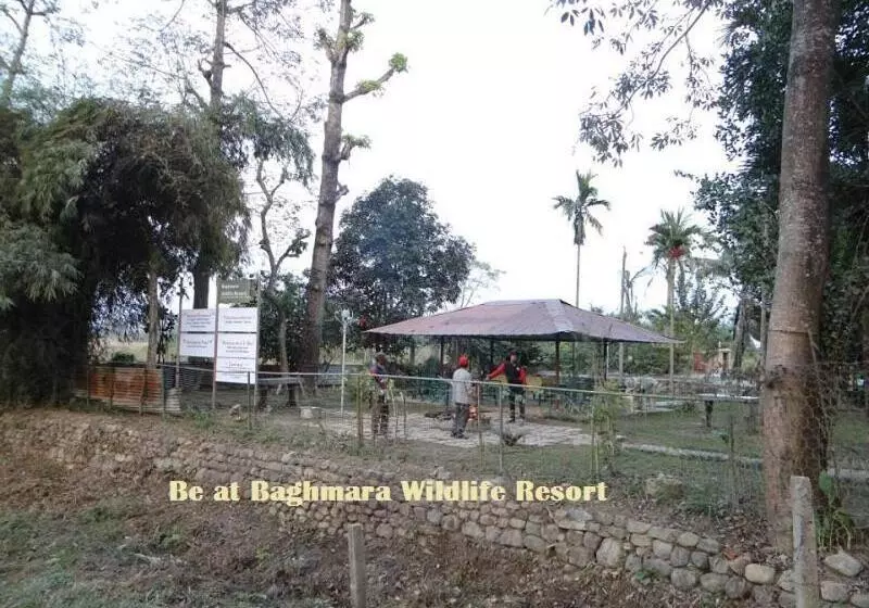 Fotos del hotel Baghmara Wildlife Resort:  24