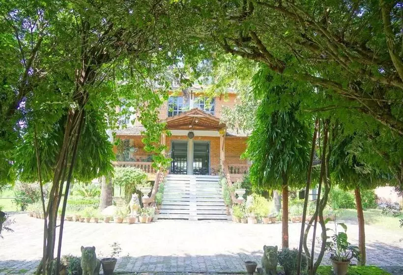 Fotos del hotel Baghmara Wildlife Resort:  9