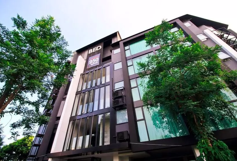 Bed Changkian   Adults Only