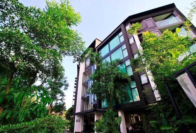 Fotos del hotel Bed Changkian   Adults Only:  24