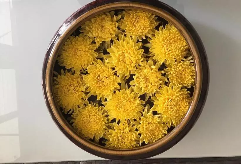 Fotos del hotel Lee Chiang:  19