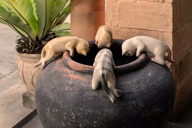 Fotos del hotel Lee Chiang:  14