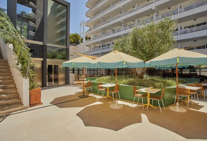 Fotos del hotel Dreams Calvià Mallorca:  9