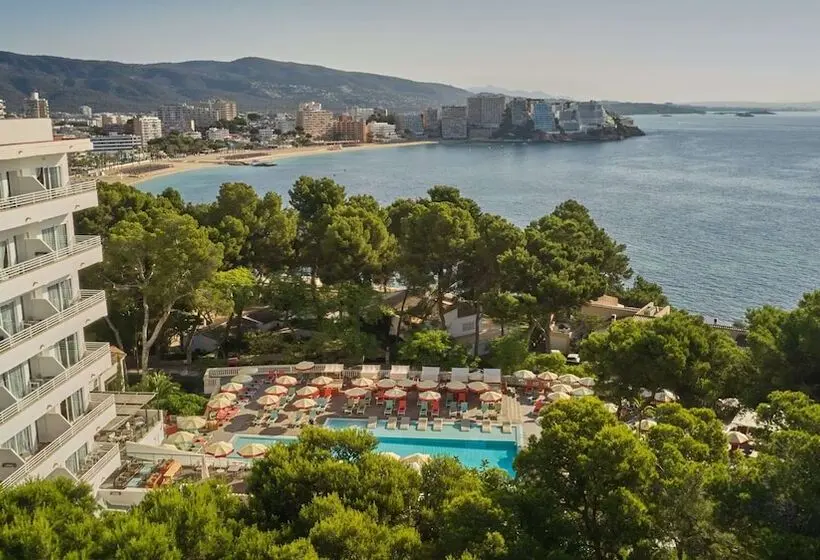 Fotos del hotel Dreams Calvià Mallorca:  22