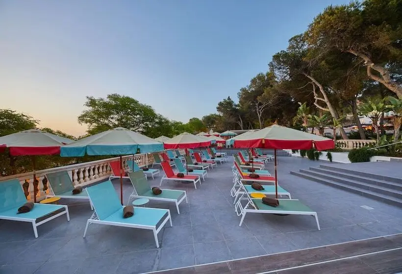 Fotos del hotel Dreams Calvià Mallorca:  27