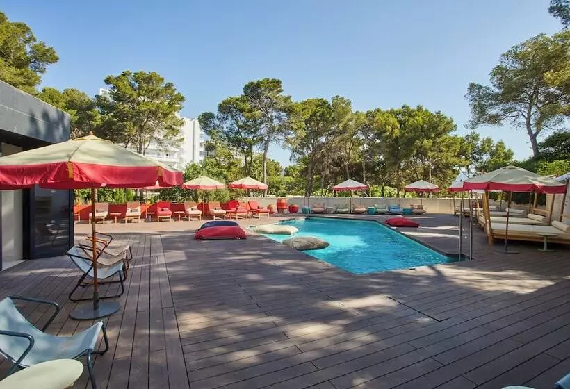 Fotos del hotel Dreams Calvià Mallorca:  53