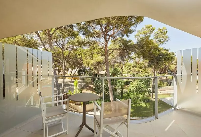 Fotos del hotel Dreams Calvià Mallorca:  54