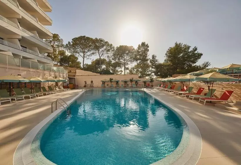Fotos del hotel Dreams Calvià Mallorca:  57