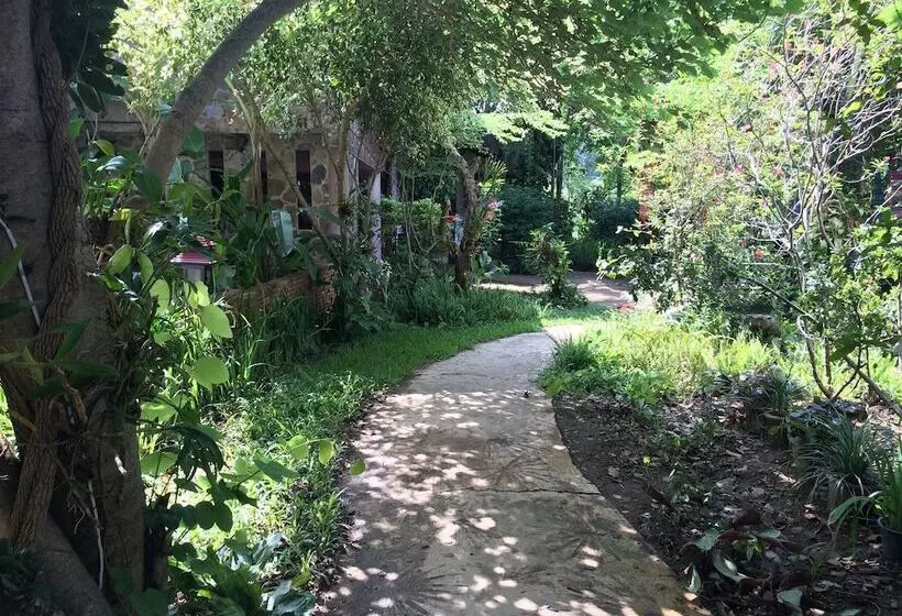 Fotos del hotel Baantawan Pai's Boutique Guesthouse:  22