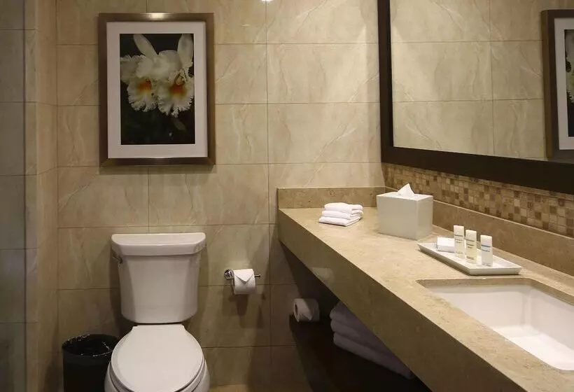 Fotos del hotel Hilton Garden Inn Cusco:  11